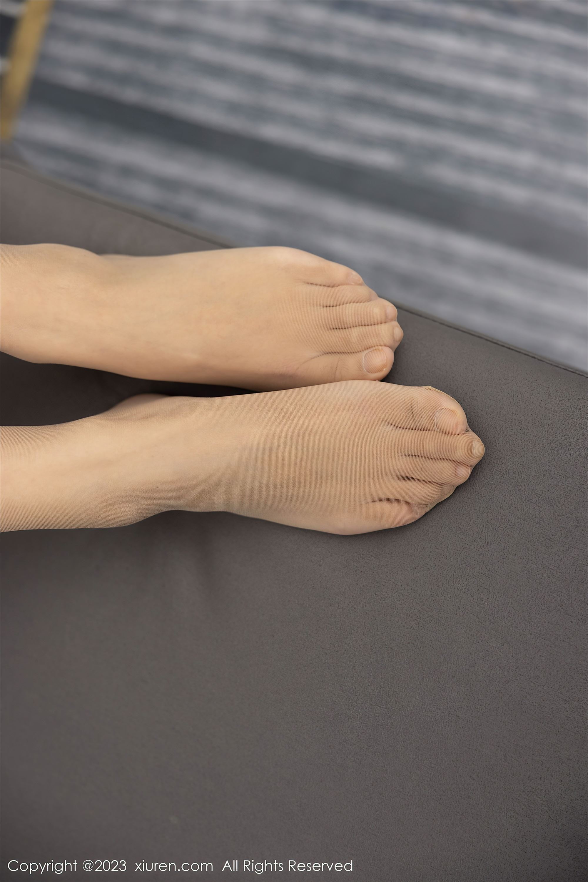 XiuRen秀人网  2023.03.01 NO.6344 可樂Vicky